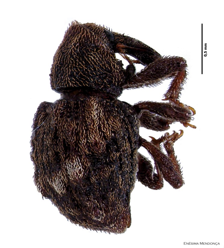 Figure 19.