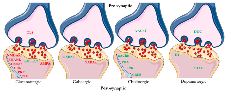 Figure 7