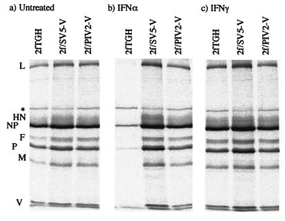 FIG. 6.