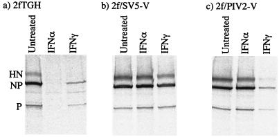 FIG. 7.