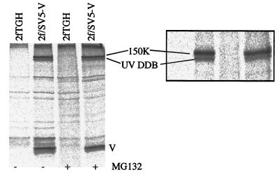 FIG. 5.