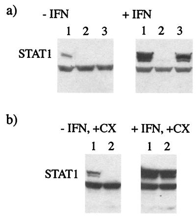 FIG. 9.