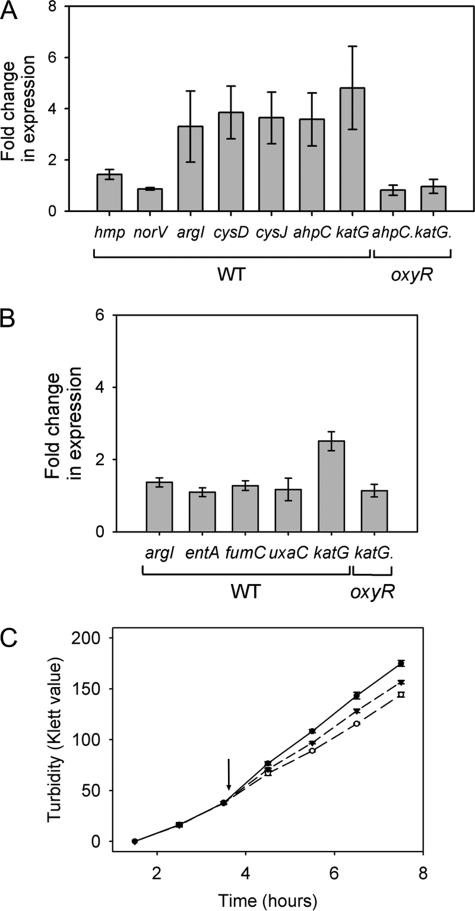 FIGURE 4.