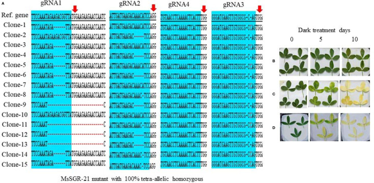 Figure 4