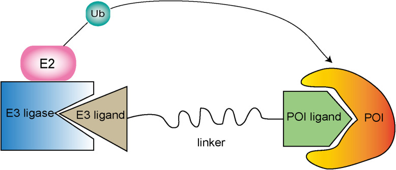 Fig. 5