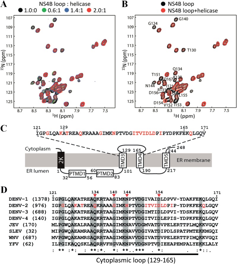 FIG 6