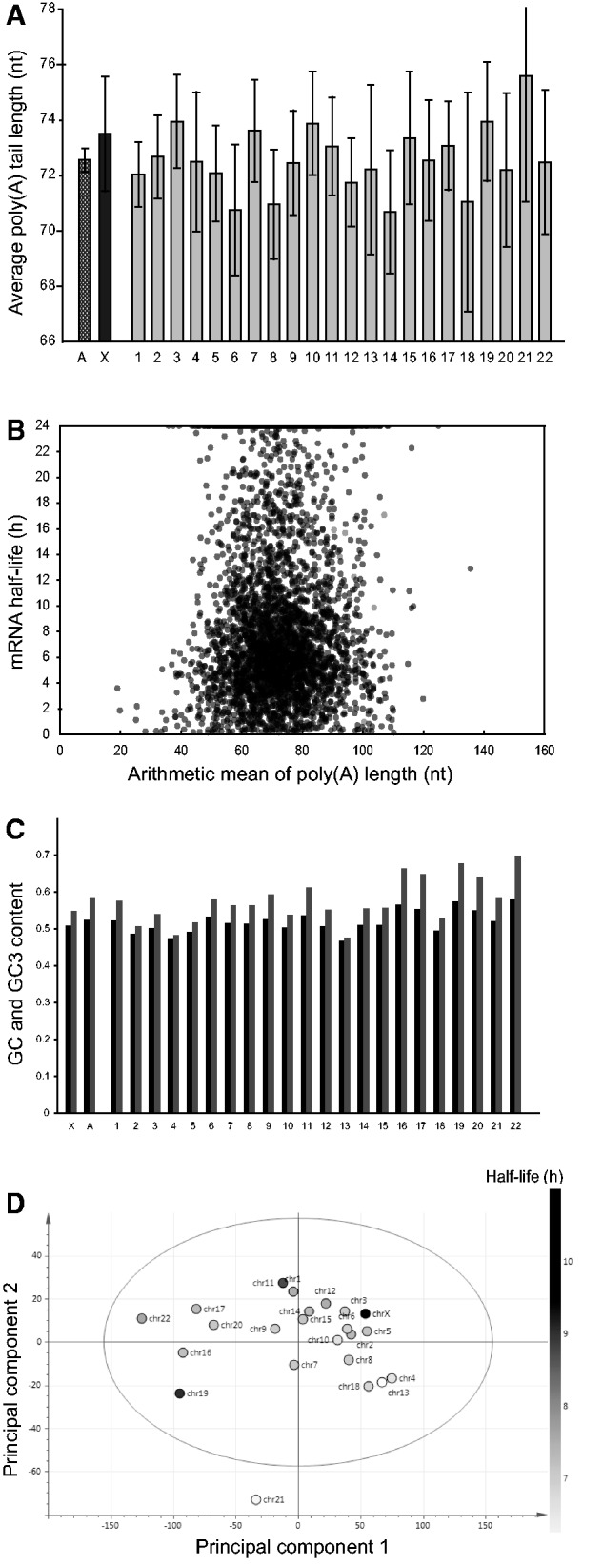 Fig. 6.—