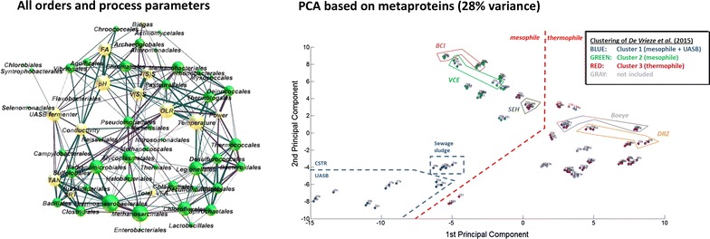 Graphical abstract