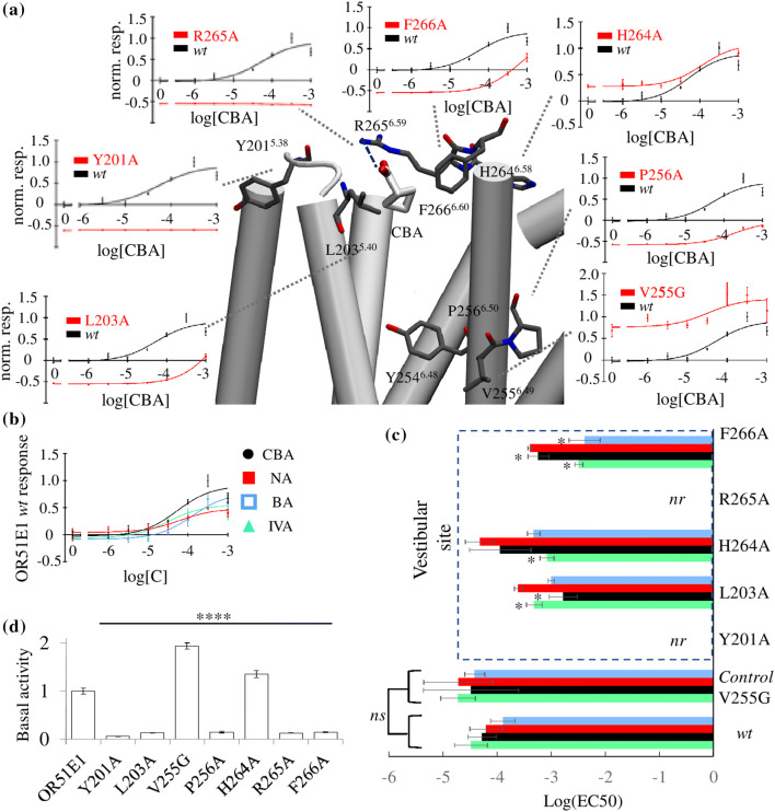 Fig. 4