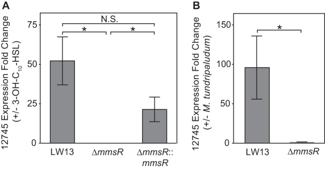 FIG 4