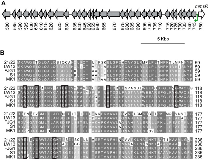 FIG 1