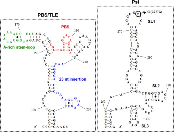 FIGURE 1.