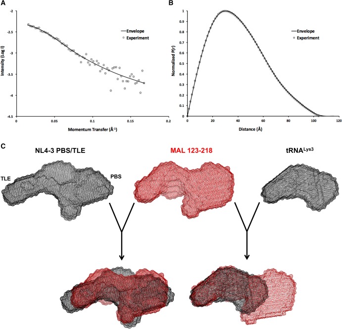 FIGURE 4.