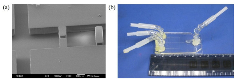 Figure 24