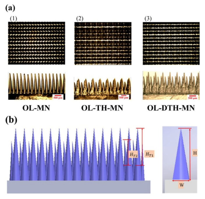 Figure 30