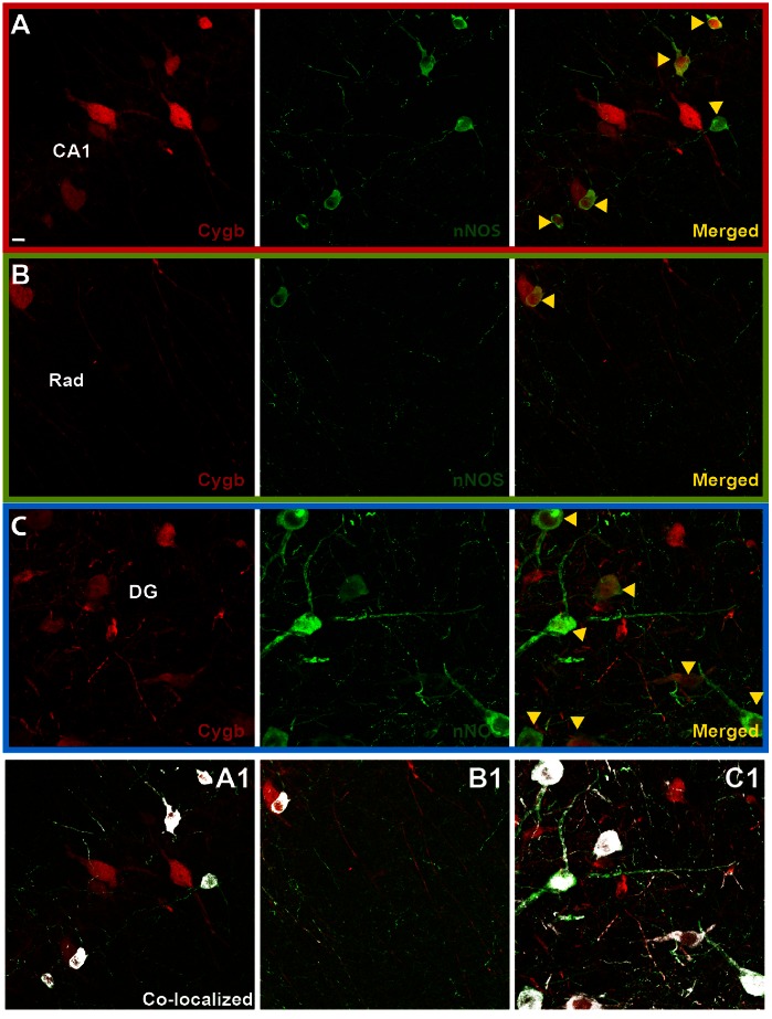 Figure 4