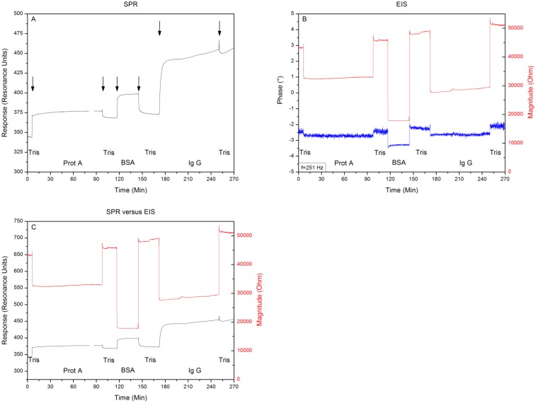 Figure 5.