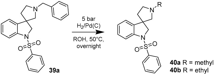 Scheme 5