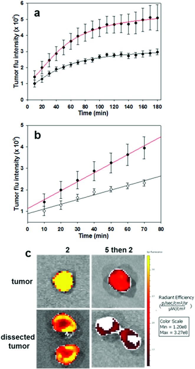 Fig. 11