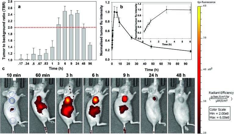 Fig. 8