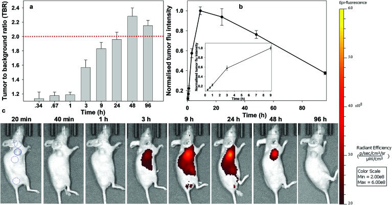 Fig. 10