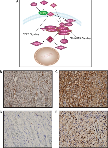 Fig. 4.