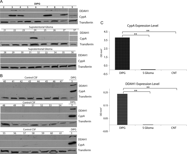 Fig. 2.