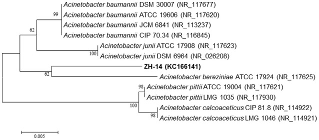 Figure 2