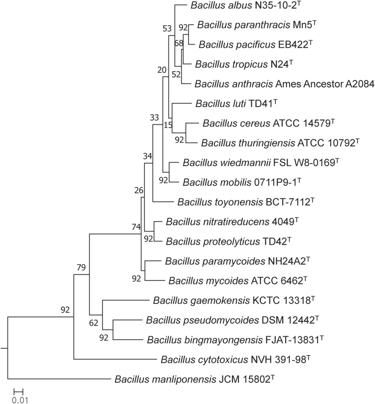 FIGURE 1