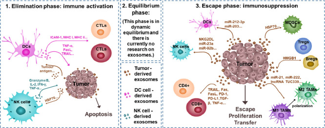 Image, graphical abstract