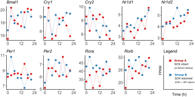 Fig 3