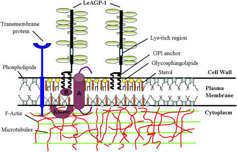 Figure 7.