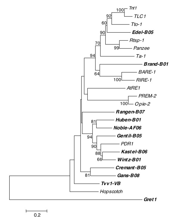 Figure 2