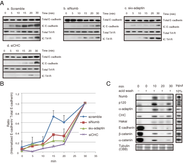 FIGURE 4: