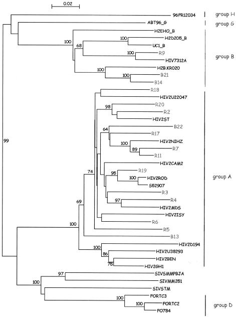 FIG. 1.