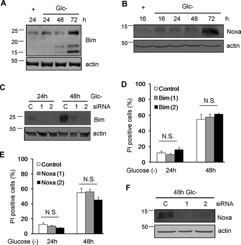 FIG 4