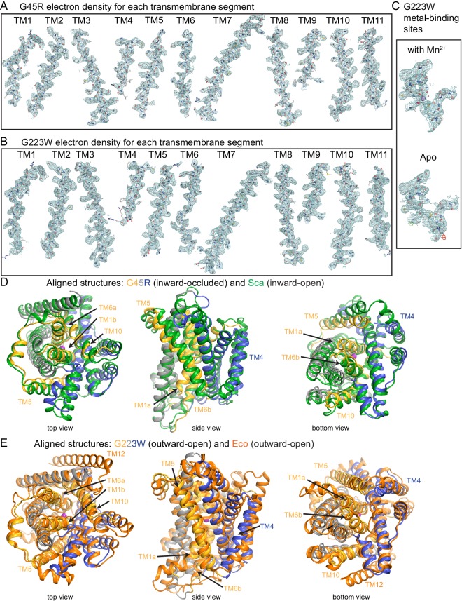 Figure 2—figure supplement 2.