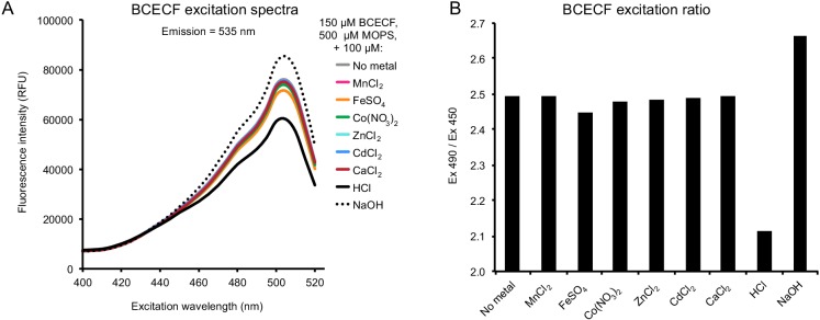 Figure 5—figure supplement 3.