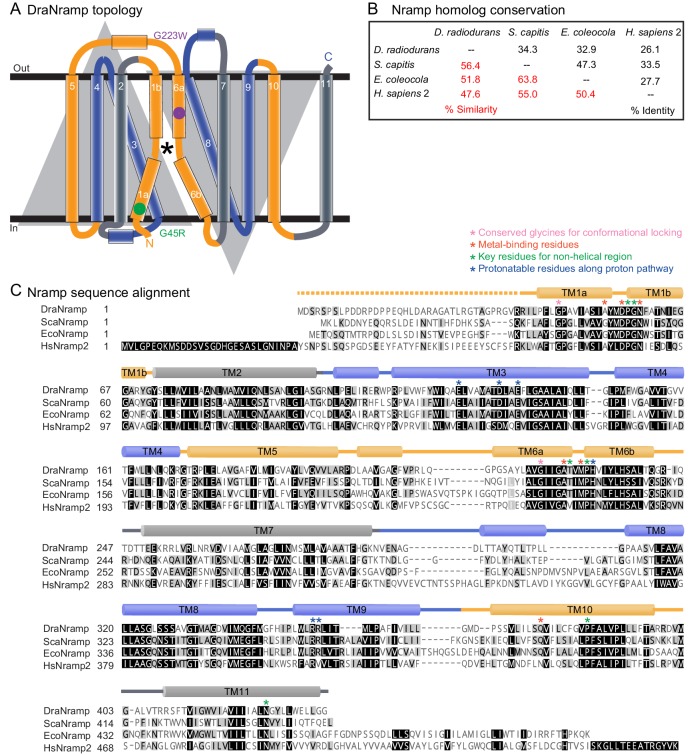 Figure 2—figure supplement 1.