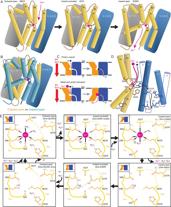 Figure 7.