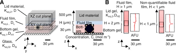 FIG. 1.