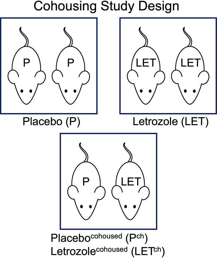 FIG 1