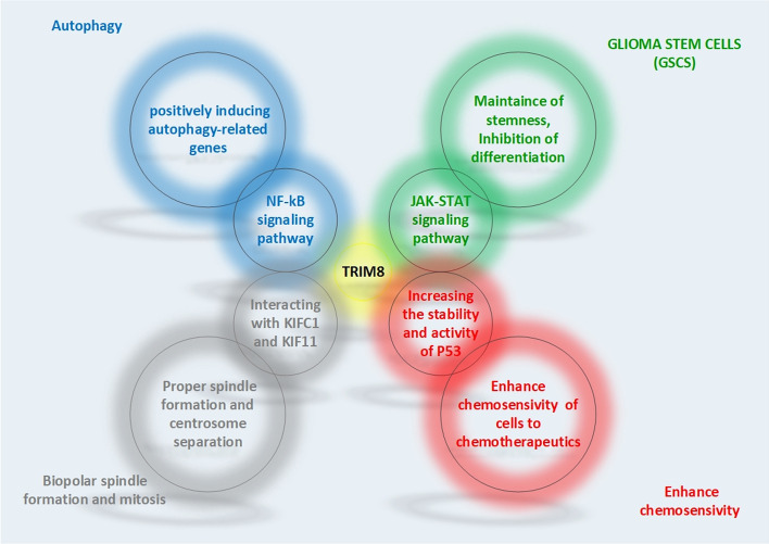 graphic file with name 11658_2023_418_Figa_HTML.jpg