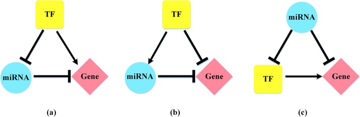 Fig. 8