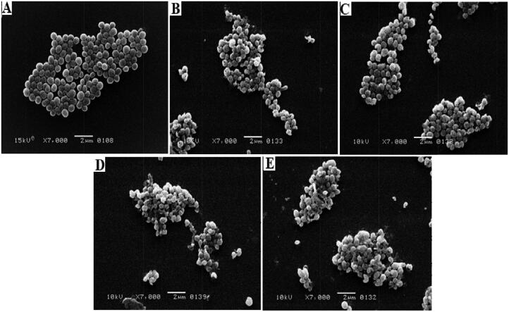 Figure 10.