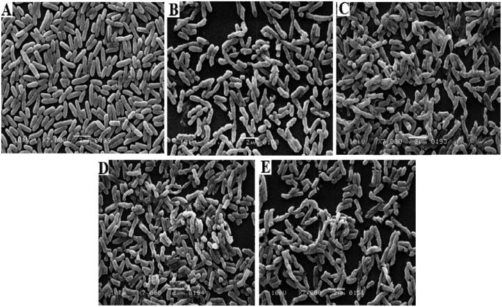 Figure 11.