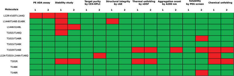 Summary of all selected molecules for both αTAA scFvs and their outcome in the PE ADA assay, extended biophysical characterization, and thermal onset of unfolding. The molecules are rated to be within and outside of limits set for each analysis shown by green and red boxes. The table shows that molecule T101S-T146K and T146K are within all limits set.