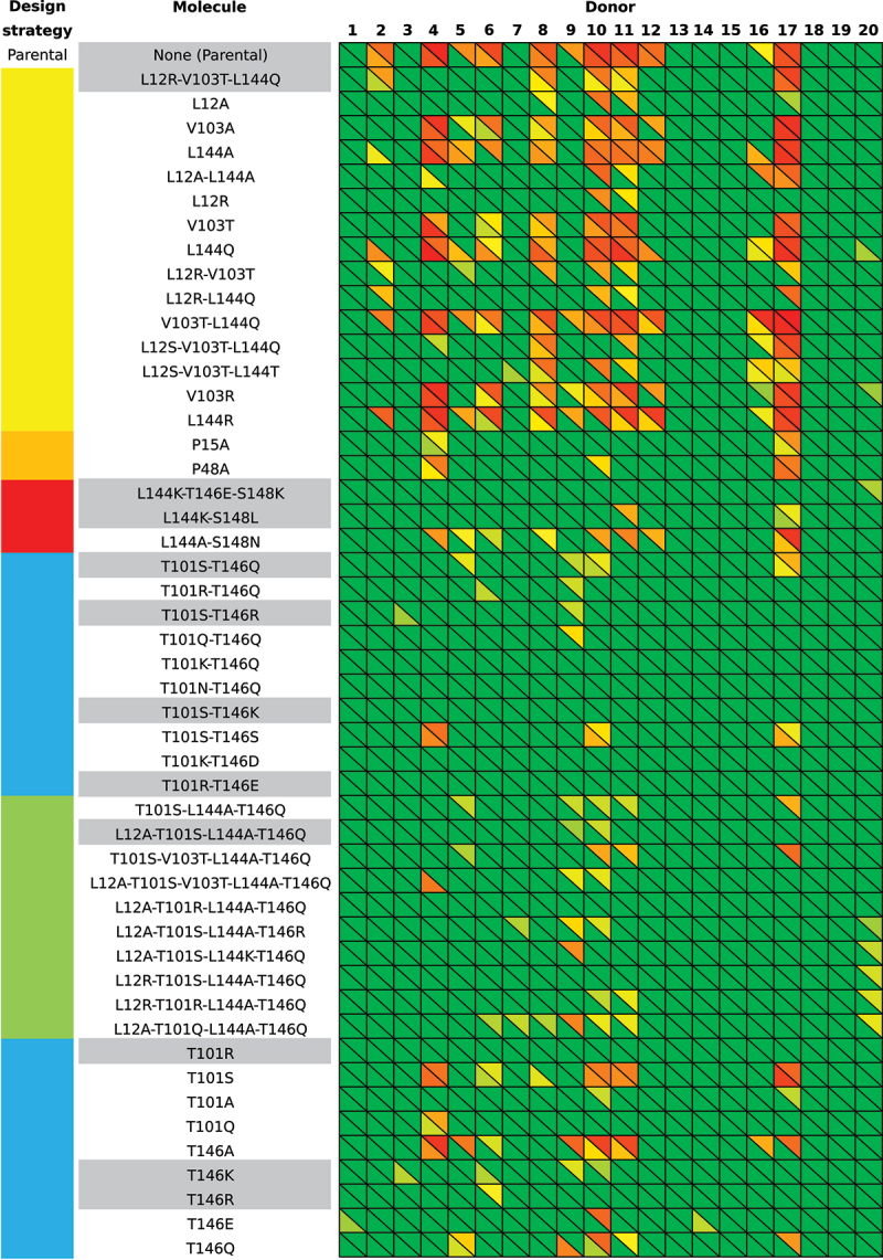 Heatmap of PE ADA reactivities for parental and modified αTAA1 and αTAA2 scFv molecules measured for sera from 20 human donors, showing significant differences in PE ADA reactivities.