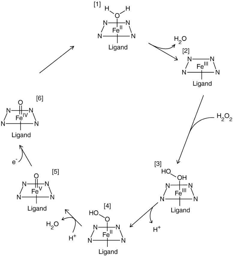 FIGURE 1