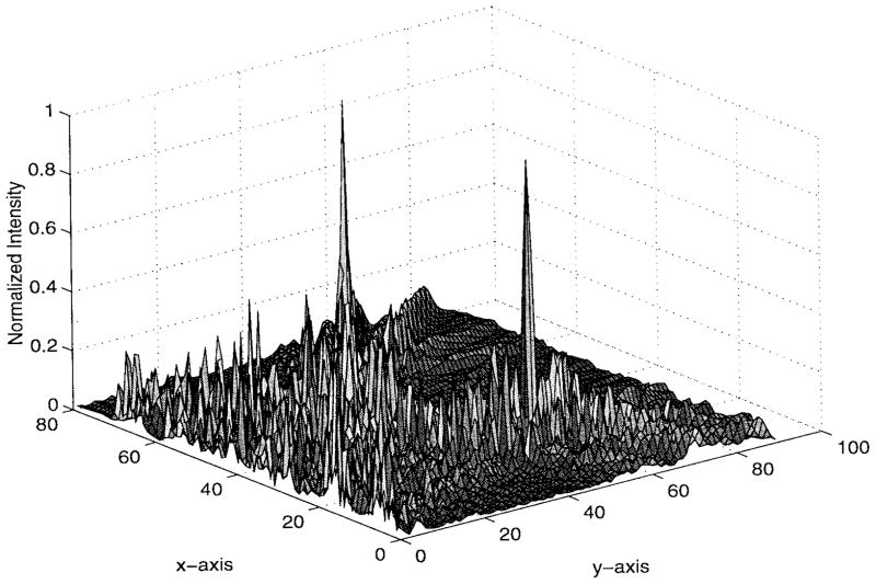 Fig. 11